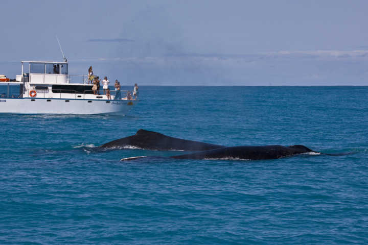 Catamarã em Abrolhos, no extremo sul da Bahia