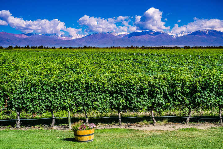 Trecho da rota do vinho em Mendoza com montanhas dos Andes ao fundo