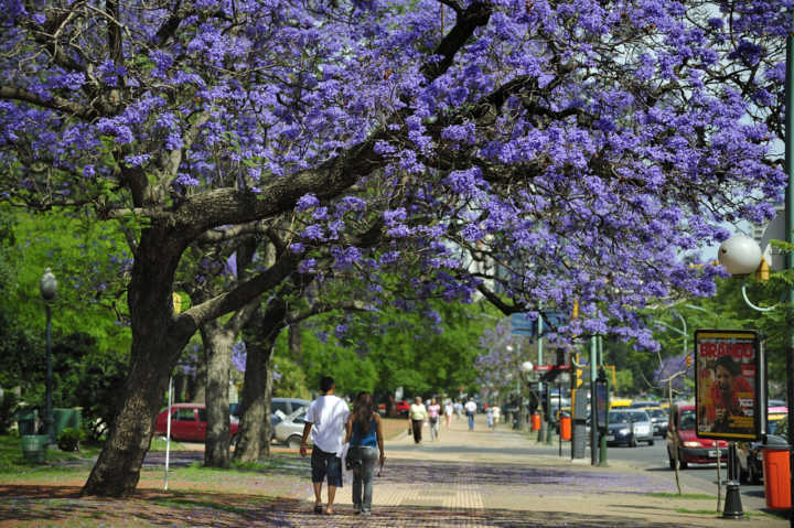 Buenos Aires na primavera é magnífica