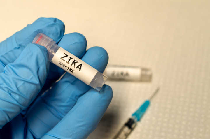 Início de testes em humanos da vacina brasileira foi adiado para o fim do ano que vem