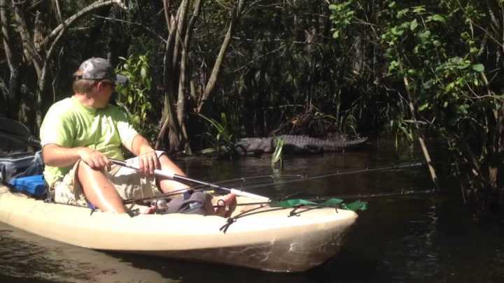 Riverbend Park possui vegetação e vida animal abundante