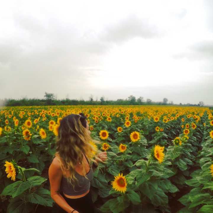 Carol já passou por mais de 18 países da Europa e da Ásia