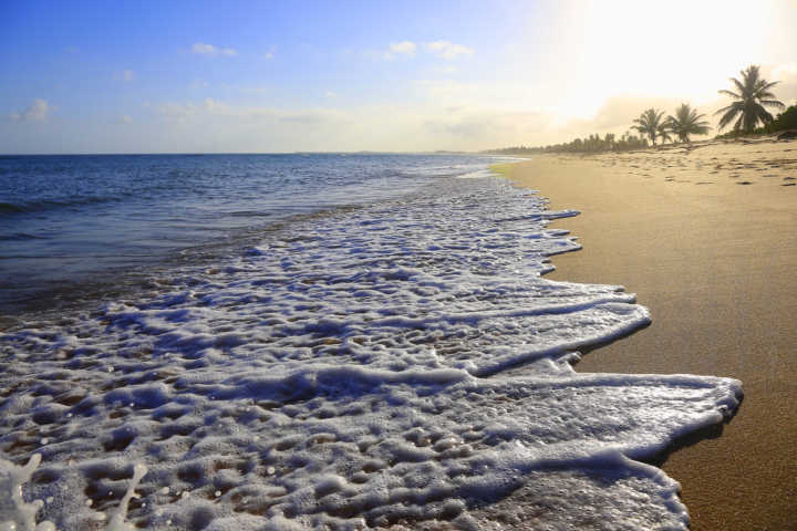 Veja quais praias brasileiras que estão entre as 10 melhores do mundo – Praia do Forte, Bahia