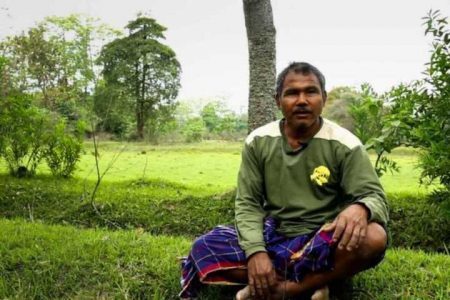 O indiano  Jadav Payeng, que planta árvores sozinho em uma ilha