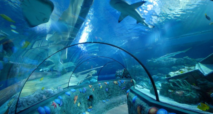 Sea Life de Scheveningen tem 45 aquários