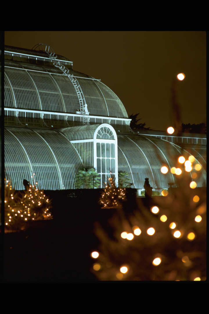 Jardins de Kew iluminados com motivos natalinos