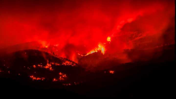 Até 2050, as temperaturas observadas no verão de 2017 passarão a ser as usuais nesta estação do ano no sudeste europeu