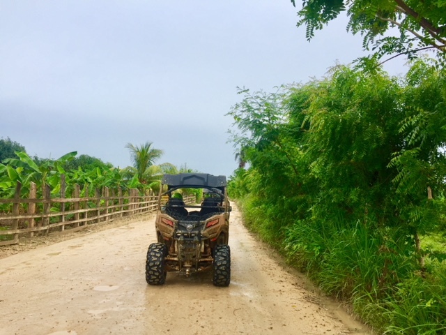 Passeio de buggy