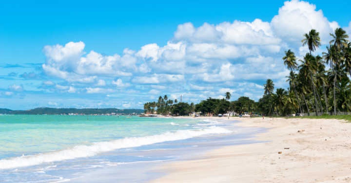 Conhecida como o “Caribe Brasileiro”, Maragogi é um paraíso no litoral do Estado de Alagoas