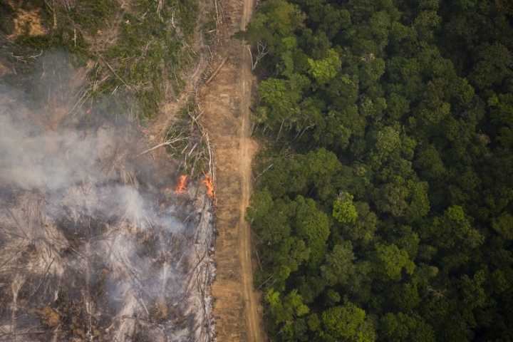 Em 2016, o desmatamento na Amazônia foi responsável por 26% das emissões