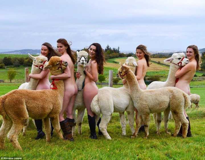 Estudantes de veterinária da Escócia posam nus