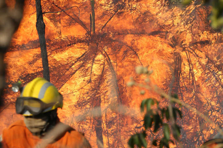 No Brasil, perto de 30% do Parque Nacional da Chapada dos Veadeiros, em Goiás, foi devastado pelo fogo