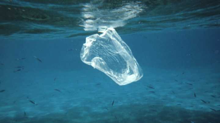 Além da proibição do plástico, o país anunciou que irá criar uma área de proteção marinha
