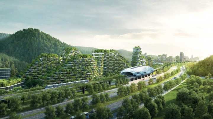 Vegetação ajudará a melhorar a qualidade do ar, reduzir a temperatura da cidade e estimular a biodiversidade