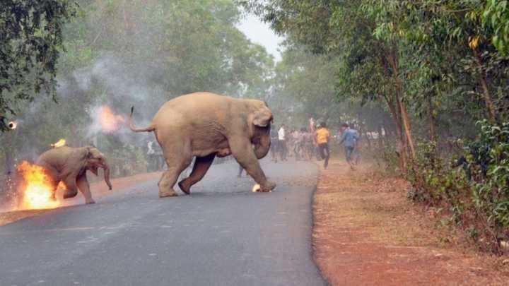 A imagem vencedora expõe um problema ambiental da região