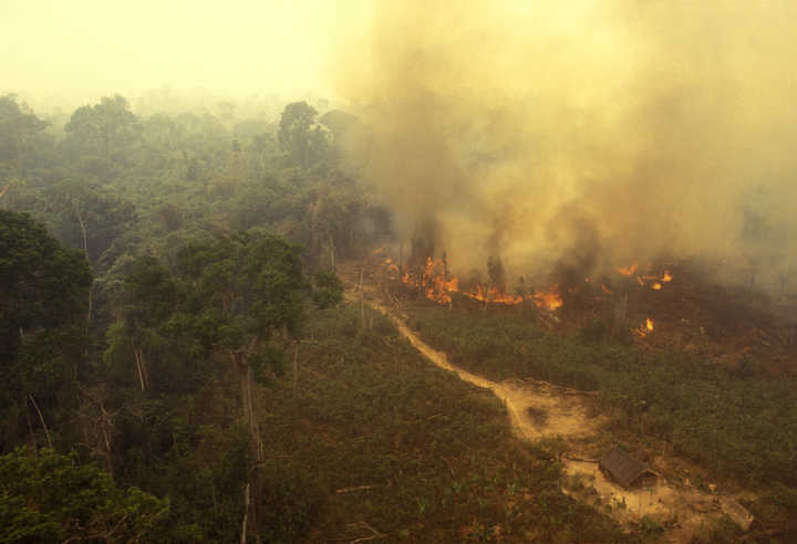 Incêndio na região Amazônica