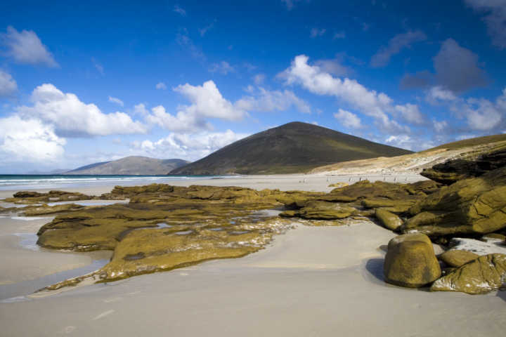 Ao contrário do que se encontra em ilhas menores, as Falklands ou Malvinas têm uma extensa rede de turismo
