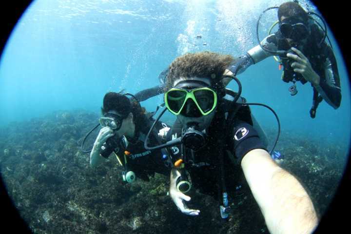 Mergulho em Noronha: tem que fazer, e há alternativas de preços