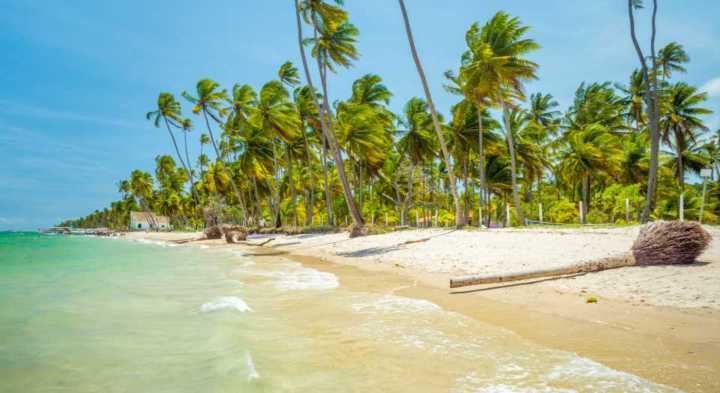 A Praia dos Carneiros é um ótimo destino para visitar saindo de Recife