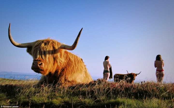 Estudantes de veterinária da Escócia posam nus