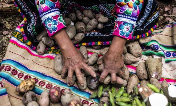 Riqueza gastronômica do país dá título de como “melhor destino culinário do mundo” ao Peru