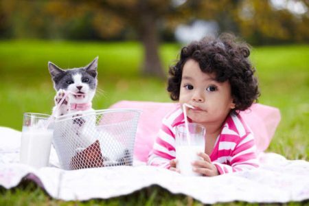 Gatos aprenderam a imitar o som de bebês humanos para pedir comida