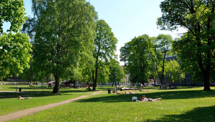 Oslo tem 40% de áreas verdes preservadas