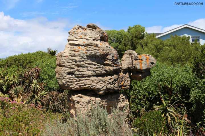 Estátua – Camel Rock