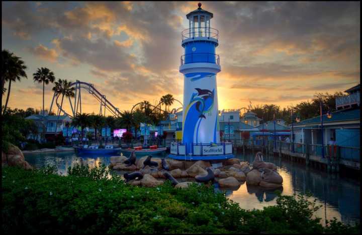 Inaugurada em 2016, a Mako é fica no parque SeaWorld em Orlando