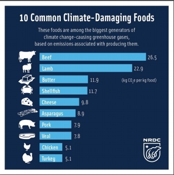 Quantidade de CO2 emitido (em kg) por quilo de alimento produzido