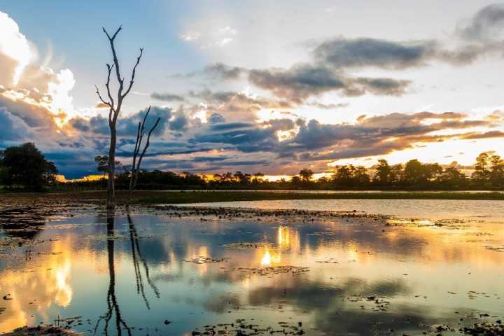 O Pantanal é um dos ecossistemas mais ricos e diversificados do país