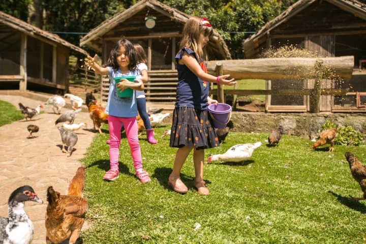 Crianças alimentam bichos no Hotel Toriba