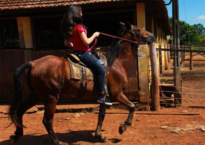 O hotel oferece oficinas culturais, rodas cantadas, atividades para integração e socialização