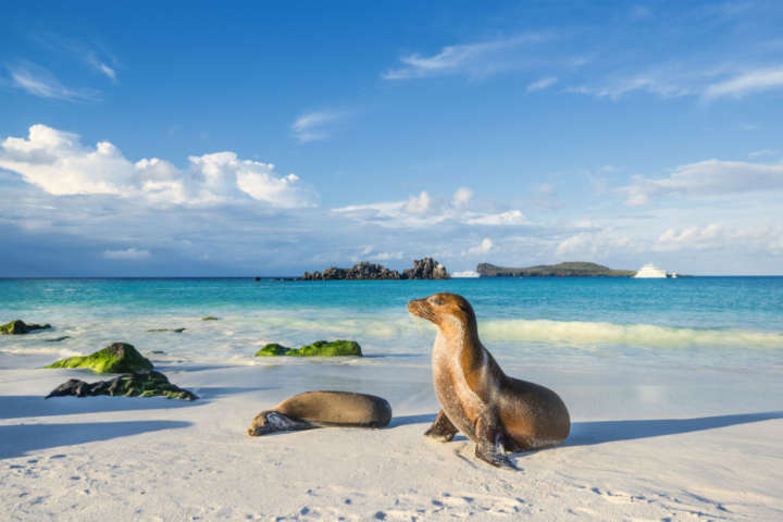 Para quem busca simplesmente relaxar e curtir o clima, uma visita as praias é o passeio ideal