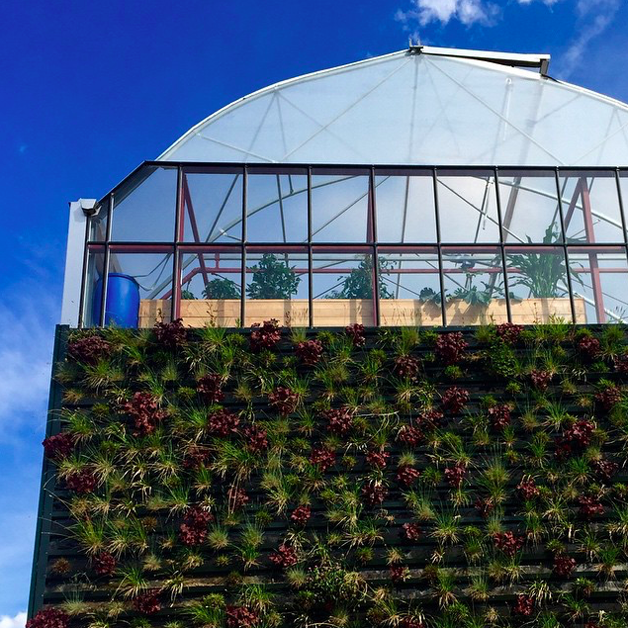 Teto solar da “Casa Conceito” habitada pela família Sholten