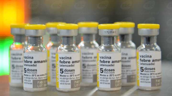 Doses poderiam imunizar 2.800 pessoas