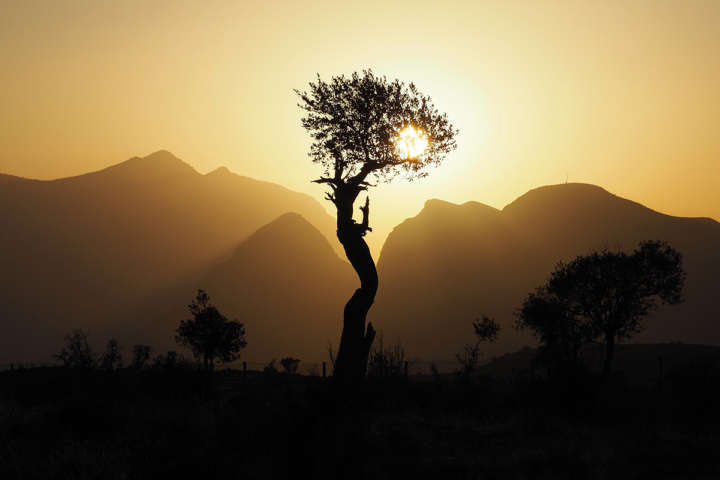 Pôr do sol no deserto