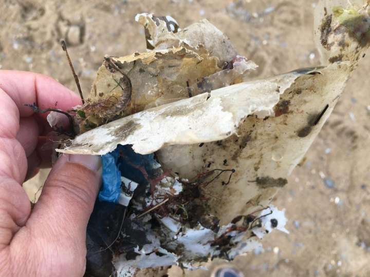 Pedaços de plástico e lixo encontrados na praia de Aberporth, em Gales