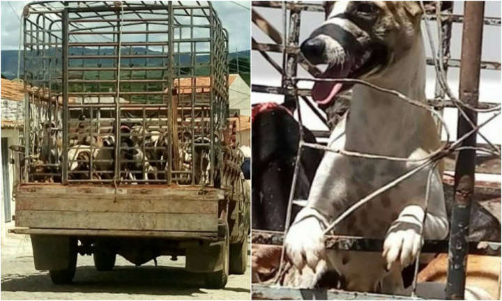 A medida indignou os moradores do município paraibano