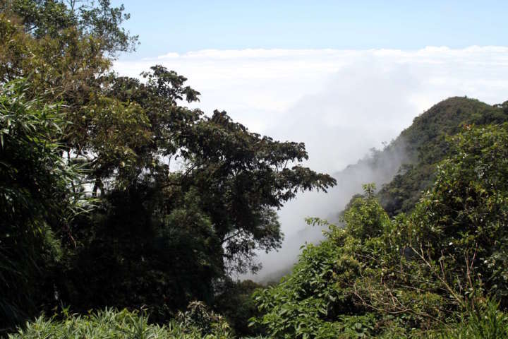 Vista da Serra da Bocaina, na estrada Cunha-Paraty