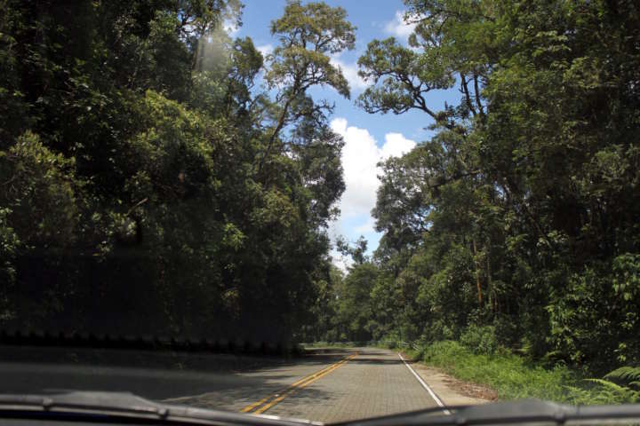 Vista da Estrada Cunha-Paraty