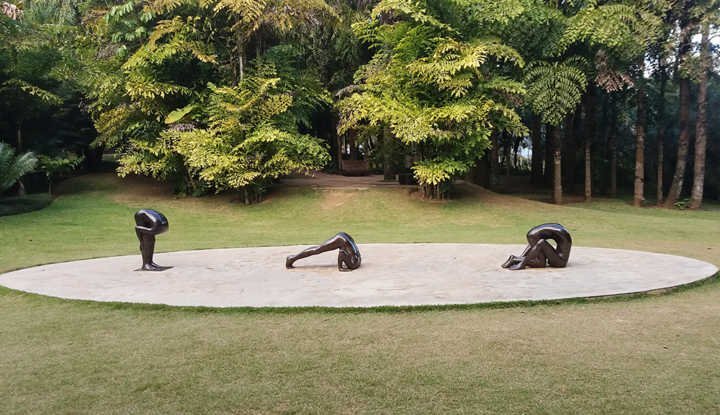 Esculturas em bronze do artista Edgard de Souza; obras integram acervo permanente do Instituto Inhotim