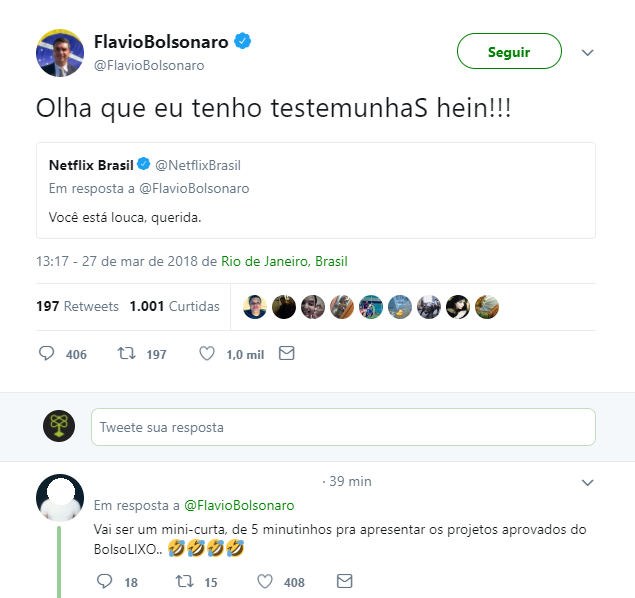Você está louca, querida', diz Netflix a Flávio Bolsonaro no Twitter -  Jornal O Globo