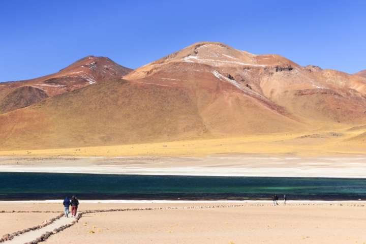 Lagunas Altiplanicas, no Atacama, é uma das paisagens mais incríveis do Chile