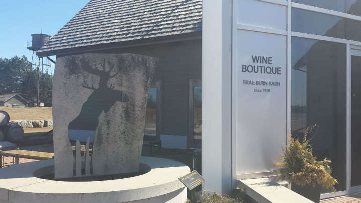 Uma das vinícolas que produzem ice wine na região de Niágara