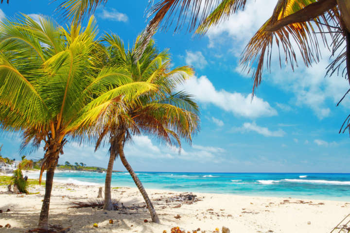 A JAmaica tem praias de areias brancas e águas cristalinas