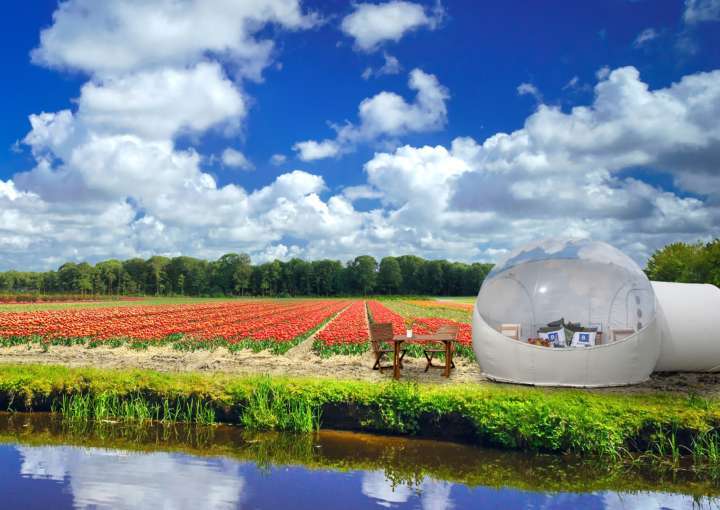 O quarto-cápsula fica no campo de tulipas Keukenhof, que fica próximo a Amsterdã, na Holanda