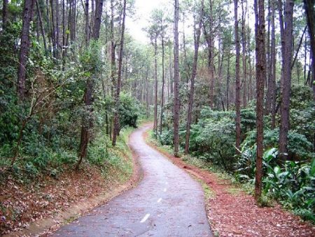 Com cerca de 9.500.000 m², Parque Anhanguera é o maior espaço de área verde na capital paulista e está a apenas 20 km da Praça da Sé