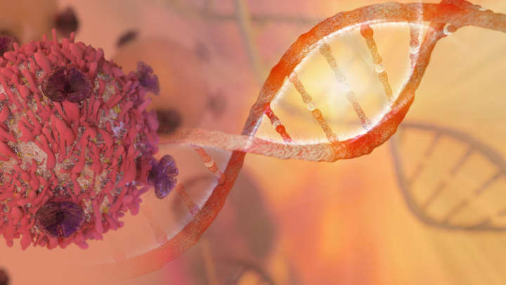 Idade, genética e exposição a fatores de risco podem causar câncer.