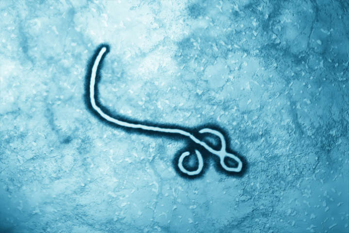 Vírus do ebola mata 17 pessoas na República Democrática do Congo